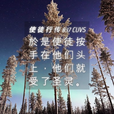 Picture 04 - 使 徒 行 传 8:17 CUVS - 於 是 使 徒 按 手 在 他 们 头 上 ， - Bible Verse Picture