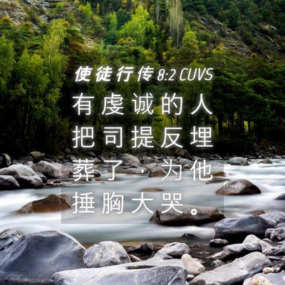 Picture 04 - 使 徒 行 传 8:2 CUVS - 有 虔 诚 的 人 把 司 提 反 埋 葬 了 - Bible Verse Picture
