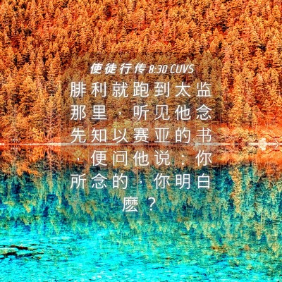 Picture 04 - 使 徒 行 传 8:30 CUVS - 腓 利 就 跑 到 太 监 那 里 ， 听 见 - Bible Verse Picture