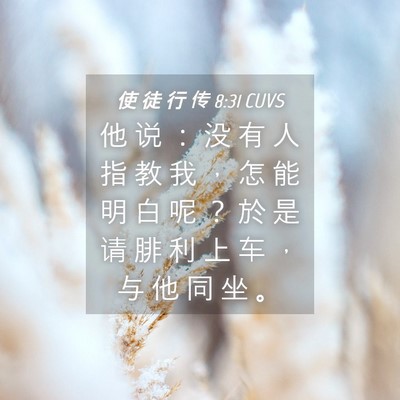 Picture 04 - 使 徒 行 传 8:31 CUVS - 他 说 ： 没 有 人 指 教 我 ， 怎 能 - Bible Verse Picture