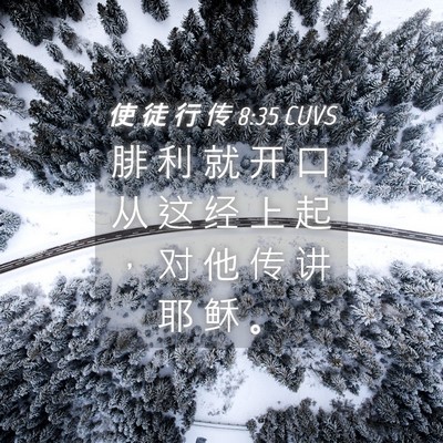 Picture 04 - 使 徒 行 传 8:35 CUVS - 腓 利 就 开 口 从 这 经 上 起 ， 对 - Bible Verse Picture