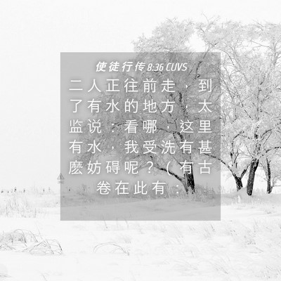 Picture 04 - 使 徒 行 传 8:36 CUVS - 二 人 正 往 前 走 ， 到 了 有 水 的 - Bible Verse Picture