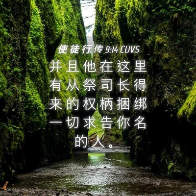 Picture 04 - 使 徒 行 传 9:14 CUVS - 并 且 他 在 这 里 有 从 祭 司 长 得 - Bible Verse Picture