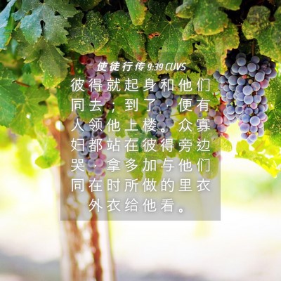 Picture 04 - 使 徒 行 传 9:39 CUVS - 彼 得 就 起 身 和 他 们 同 去 ； 到 - Bible Verse Picture