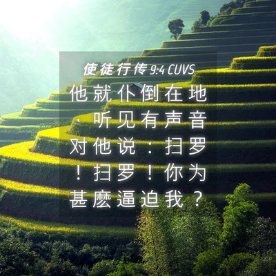 Picture 04 - 使 徒 行 传 9:4 CUVS - 他 就 仆 倒 在 地 ， 听 见 有 声 音 - Bible Verse Picture
