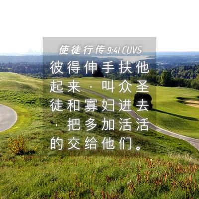 Picture 04 - 使 徒 行 传 9:41 CUVS - 彼 得 伸 手 扶 他 起 来 ， 叫 众 圣 - Bible Verse Picture