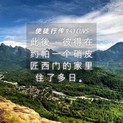 Picture 04 - 使 徒 行 传 9:43 CUVS - 此 後 ， 彼 得 在 约 帕 一 个 硝 皮 - Bible Verse Picture