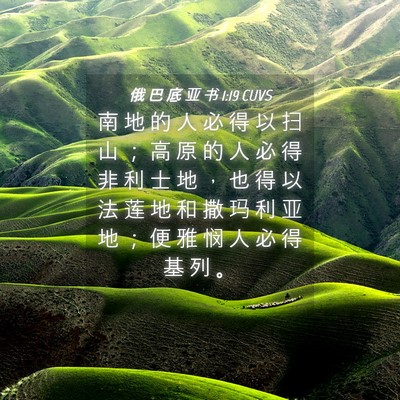Picture 04 - 俄 巴 底 亚 书 1:19 CUVS - 南 地 的 人 必 得 以 扫 山 ； 高 原 - Bible Verse Picture