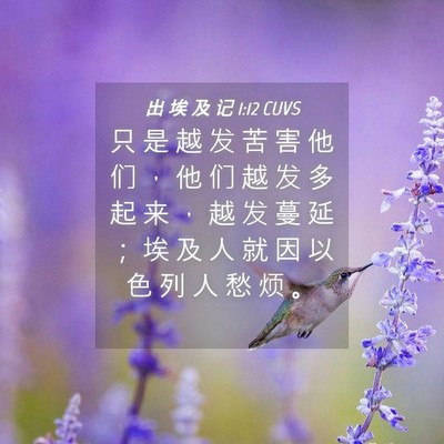 Picture 04 - 出 埃 及 记 1:12 CUVS - 只 是 越 发 苦 害 他 们 ， 他 们 越 - Bible Verse Picture