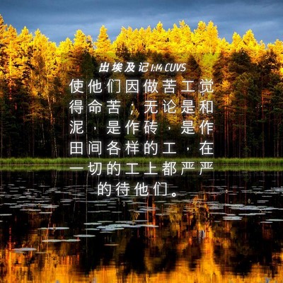 Picture 04 - 出 埃 及 记 1:14 CUVS - 使 他 们 因 做 苦 工 觉 得 命 苦 ； - Bible Verse Picture