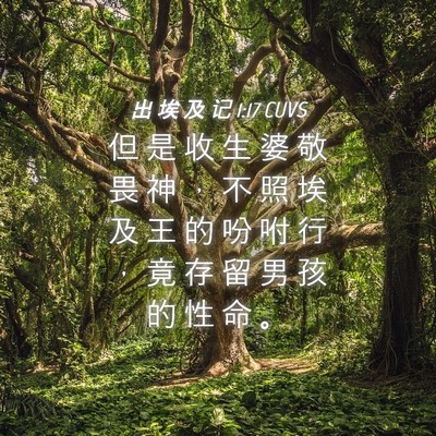 Picture 04 - 出 埃 及 记 1:17 CUVS - 但 是 收 生 婆 敬 畏 神 ， 不 照 埃 - Bible Verse Picture