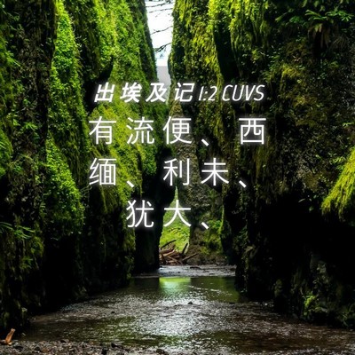 Picture 04 - 出 埃 及 记 1:2 CUVS - 有 流 便 、 西 缅 、 利 未 、 犹 大 - Bible Verse Picture