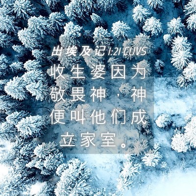 Picture 04 - 出 埃 及 记 1:21 CUVS - 收 生 婆 因 为 敬 畏 神 ， 神 便 叫 - Bible Verse Picture