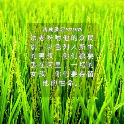 Picture 04 - 出 埃 及 记 1:22 CUVS - 法 老 吩 咐 他 的 众 民 说 ： 以 色 - Bible Verse Picture