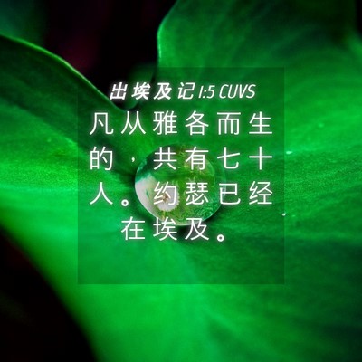 Picture 04 - 出 埃 及 记 1:5 CUVS - 凡 从 雅 各 而 生 的 ， 共 有 七 十 - Bible Verse Picture