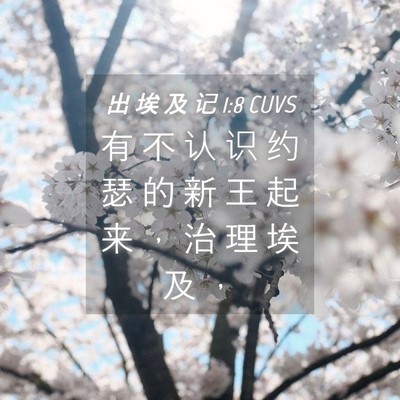 Picture 04 - 出 埃 及 记 1:8 CUVS - 有 不 认 识 约 瑟 的 新 王 起 来 ， - Bible Verse Picture