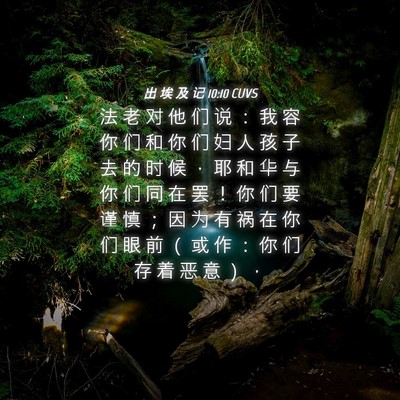 Picture 04 - 出 埃 及 记 10:10 CUVS - 法 老 对 他 们 说 ： 我 容 你 们 和 - Bible Verse Picture