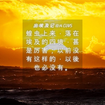 Picture 04 - 出 埃 及 记 10:14 CUVS - 蝗 虫 上 来 ， 落 在 埃 及 的 四 境 - Bible Verse Picture