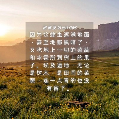 Picture 04 - 出 埃 及 记 10:15 CUVS - 因 为 这 蝗 虫 遮 满 地 面 ， 甚 至 - Bible Verse Picture