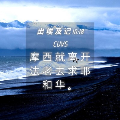 Picture 04 - 出 埃 及 记 10:18 CUVS - 摩 西 就 离 开 法 老 去 求 耶 和 华 - Bible Verse Picture