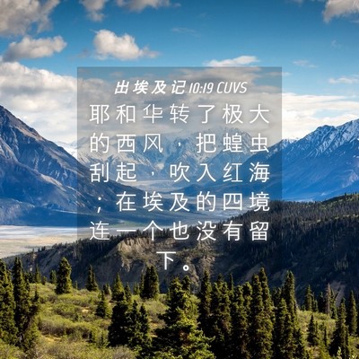 Picture 04 - 出 埃 及 记 10:19 CUVS - 耶 和 华 转 了 极 大 的 西 风 ， 把 - Bible Verse Picture