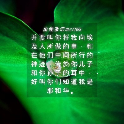 Picture 04 - 出 埃 及 记 10:2 CUVS - 并 要 叫 你 将 我 向 埃 及 人 所 做 - Bible Verse Picture