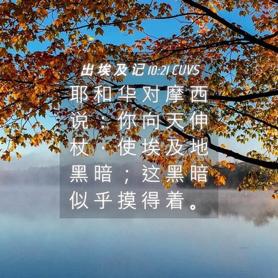 Picture 04 - 出 埃 及 记 10:21 CUVS - 耶 和 华 对 摩 西 说 ： 你 向 天 伸 - Bible Verse Picture