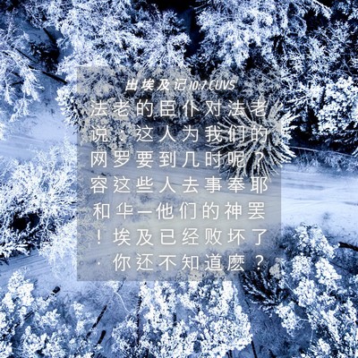 Picture 04 - 出 埃 及 记 10:7 CUVS - 法 老 的 臣 仆 对 法 老 说 ： 这 人 - Bible Verse Picture