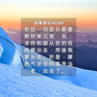 Picture 04 - 出 埃 及 记 11:8 CUVS - 你 这 一 切 臣 仆 都 要 俯 伏 来 见 - Bible Verse Picture
