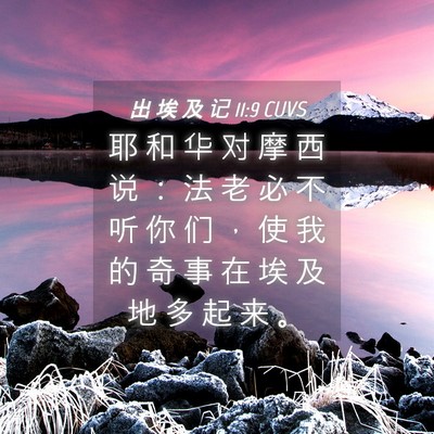 Picture 04 - 出 埃 及 记 11:9 CUVS - 耶 和 华 对 摩 西 说 ： 法 老 必 不 - Bible Verse Picture