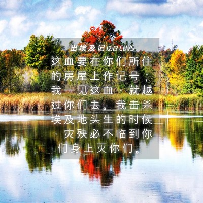 Picture 04 - 出 埃 及 记 12:13 CUVS - 这 血 要 在 你 们 所 住 的 房 屋 上 - Bible Verse Picture