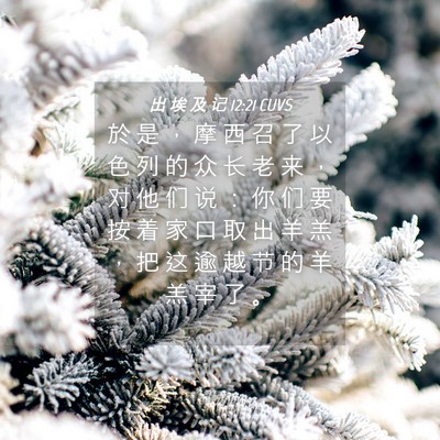 Picture 04 - 出 埃 及 记 12:21 CUVS - 於 是 ， 摩 西 召 了 以 色 列 的 众 - Bible Verse Picture
