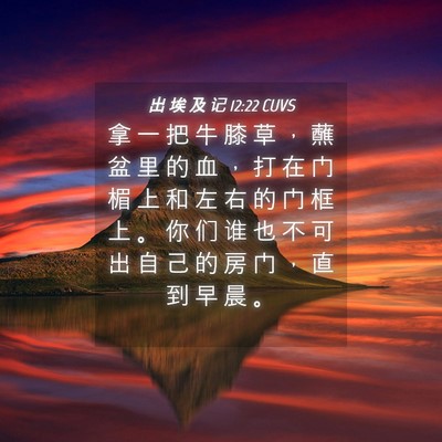 Picture 04 - 出 埃 及 记 12:22 CUVS - 拿 一 把 牛 膝 草 ， 蘸 盆 里 的 血 - Bible Verse Picture