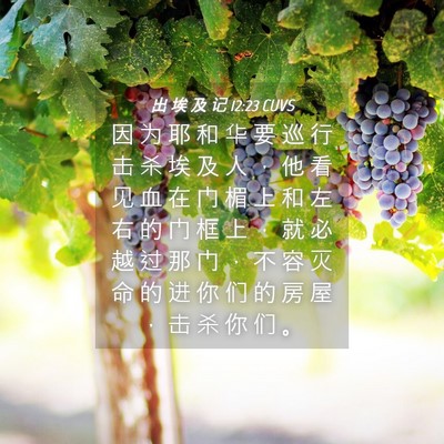 Picture 04 - 出 埃 及 记 12:23 CUVS - 因 为 耶 和 华 要 巡 行 击 杀 埃 及 - Bible Verse Picture