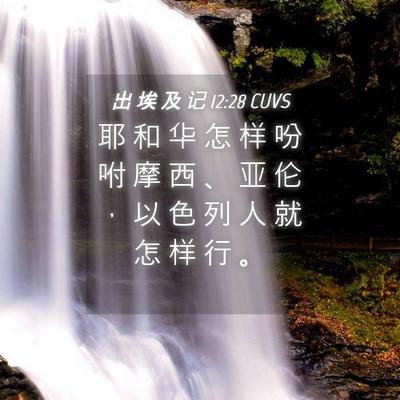 Picture 04 - 出 埃 及 记 12:28 CUVS - 耶 和 华 怎 样 吩 咐 摩 西 、 亚 伦 - Bible Verse Picture