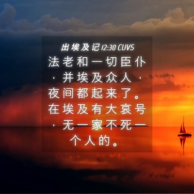 Picture 04 - 出 埃 及 记 12:30 CUVS - 法 老 和 一 切 臣 仆 ， 并 埃 及 众 - Bible Verse Picture