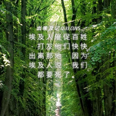Picture 04 - 出 埃 及 记 12:33 CUVS - 埃 及 人 催 促 百 姓 ， 打 发 他 们 - Bible Verse Picture