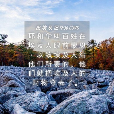 Picture 04 - 出 埃 及 记 12:36 CUVS - 耶 和 华 叫 百 姓 在 埃 及 人 眼 前 - Bible Verse Picture