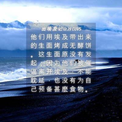 Picture 04 - 出 埃 及 记 12:39 CUVS - 他 们 用 埃 及 带 出 来 的 生 面 烤 - Bible Verse Picture