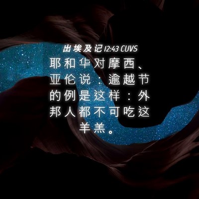 Picture 04 - 出 埃 及 记 12:43 CUVS - 耶 和 华 对 摩 西 、 亚 伦 说 ： 逾 - Bible Verse Picture