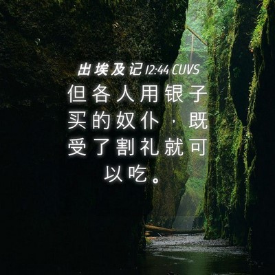 Picture 04 - 出 埃 及 记 12:44 CUVS - 但 各 人 用 银 子 买 的 奴 仆 ， 既 - Bible Verse Picture