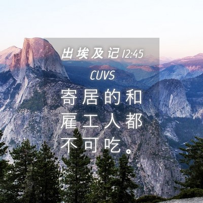 Picture 04 - 出 埃 及 记 12:45 CUVS - 寄 居 的 和 雇 工 人 都 不 可 吃 - Bible Verse Picture