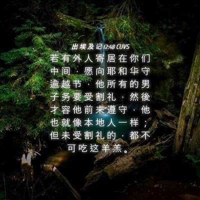 Picture 04 - 出 埃 及 记 12:48 CUVS - 若 有 外 人 寄 居 在 你 们 中 间 ， - Bible Verse Picture