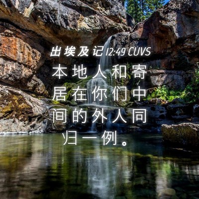 Picture 04 - 出 埃 及 记 12:49 CUVS - 本 地 人 和 寄 居 在 你 们 中 间 的 - Bible Verse Picture