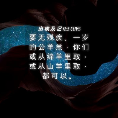 Picture 04 - 出 埃 及 记 12:5 CUVS - 要 无 残 疾 、 一 岁 的 公 羊 羔 ， - Bible Verse Picture