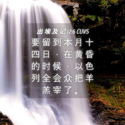 Picture 04 - 出 埃 及 记 12:6 CUVS - 要 留 到 本 月 十 四 日 ， 在 黄 昏 - Bible Verse Picture