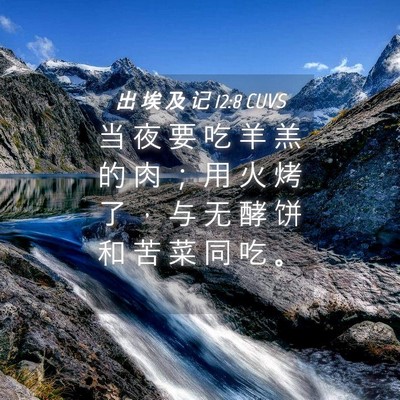 Picture 04 - 出 埃 及 记 12:8 CUVS - 当 夜 要 吃 羊 羔 的 肉 ； 用 火 烤 - Bible Verse Picture