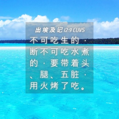 Picture 04 - 出 埃 及 记 12:9 CUVS - 不 可 吃 生 的 ， 断 不 可 吃 水 煮 - Bible Verse Picture