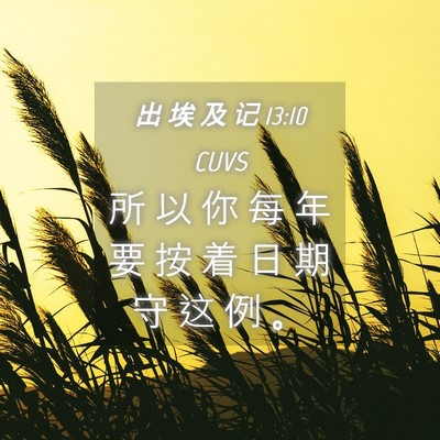 Picture 04 - 出 埃 及 记 13:10 CUVS - 所 以 你 每 年 要 按 着 日 期 守 这 - Bible Verse Picture
