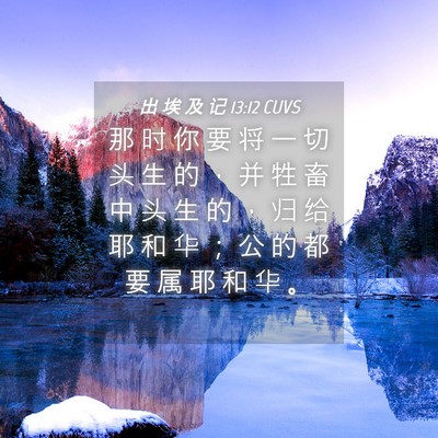 Picture 04 - 出 埃 及 记 13:12 CUVS - 那 时 你 要 将 一 切 头 生 的 ， 并 - Bible Verse Picture